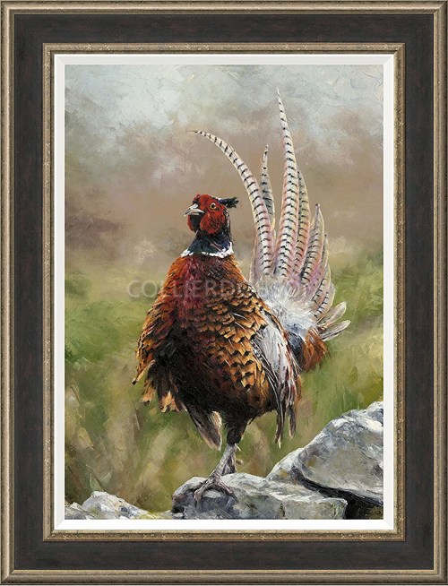 Anthony Dobson ‘Cock O’ The North’ Limited Edition Hand Signed Print Framed