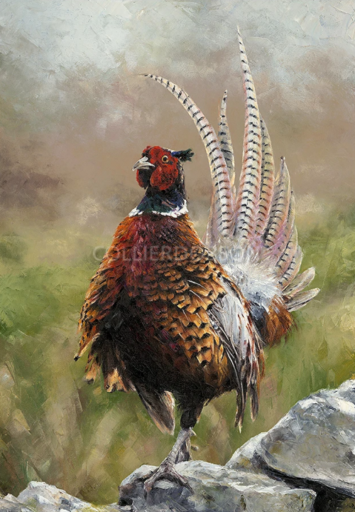 Anthony Dobson ‘Cock O’ The North’ Limited Edition Hand Signed Print