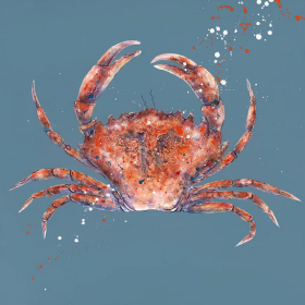 Giles Ward - Red Crab - FREE UK Delivery - Limited 2 Art